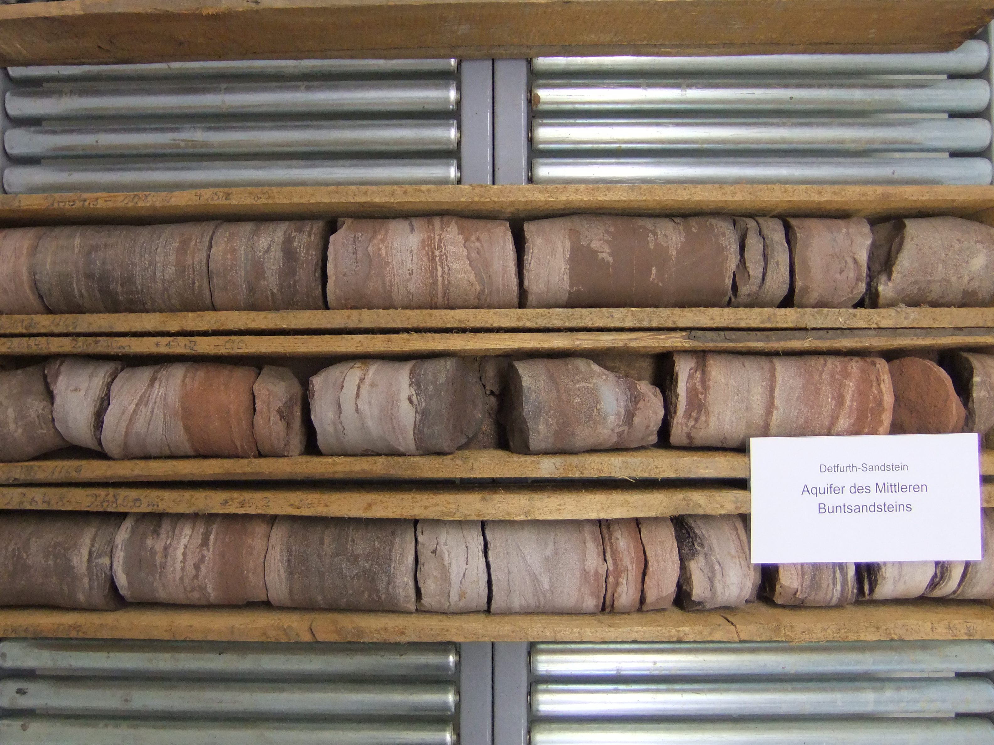 Bohrkerne im Bohrkern- und Probenarchiv zur tiefengeologischen Landesaufnahme