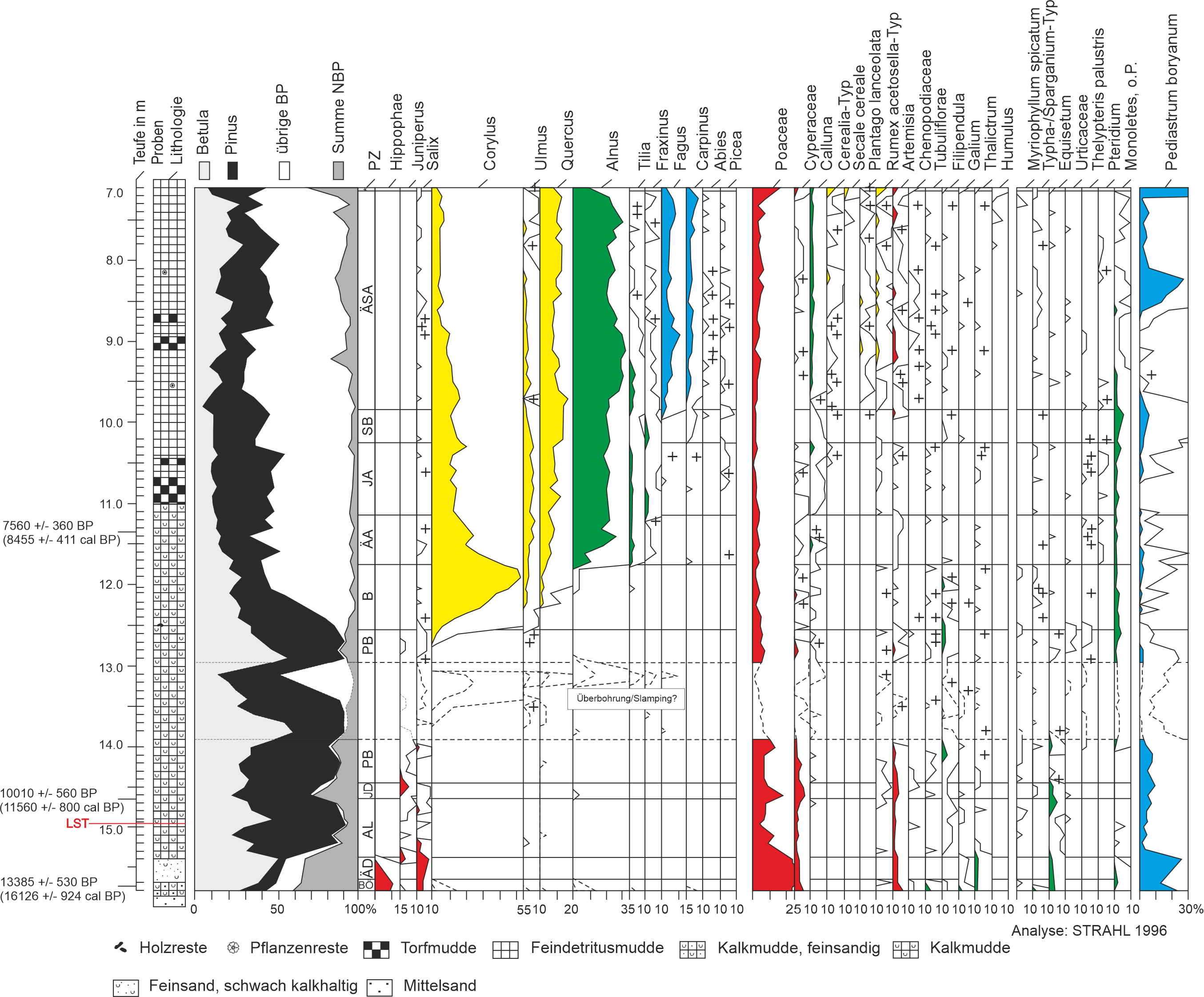 Pollendiagramm der Seddiner See